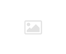 БР-278 Брошь «Ушастая сова на веточке»