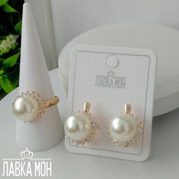 АЖСП-0078 Комплект 2в1 (18.7)